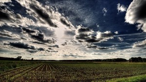 campo, seminativo, nuvole, cielo, filari, hdr