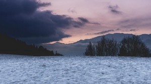 field, snow, trees, mountains, clouds