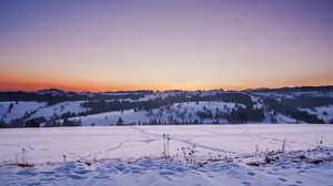field, snow, winter, sunset