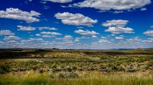 campo, hierba, horizonte, nubes, verano