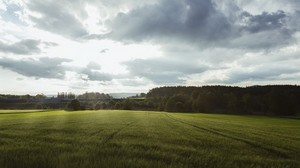 フィールド、草、地平線、雲、木、風景、ヴォルフスバッハ、バイエルン、ドイツ