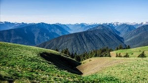 フィールド、草、山、夏