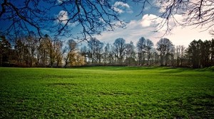 field, grass, summer, trees, sky - wallpapers, picture