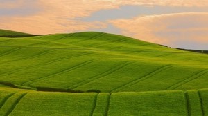 fält, gräs, sommar, himmel, vacker - wallpapers, picture
