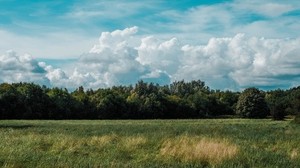 field, grass, clouds, trees