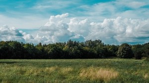 campo, hierba, nubes, árboles