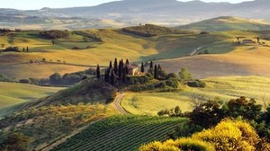 campo, erba, vista dall’alto, bello