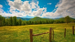 field, grass, fence, sky, summer