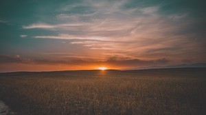 field, grass, sunset, sky