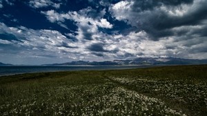 field, flowers, clouds, mountains - wallpapers, picture