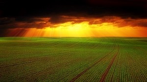 campo, nubes, horizonte, hierba, agricultura, nubes
