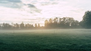 field, fog, grass, trees, dawn, sunrise