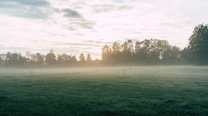 feld, nebel, gras, bäume, morgendämmerung, sonnenaufgang