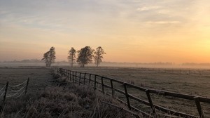 field, fog, sunrise, horizon, grass, fence, trees, dawn