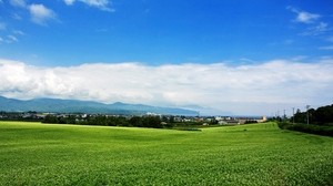 field, japan, plantation, summer, village