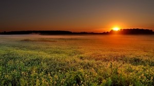 フィールド、日没、オレンジ、太陽、ディスク、ヘイズ、夕暮れ