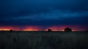 field, sunset, grass, clouds