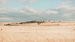 field, drought, grass