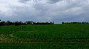 field, grass, horizon, clouds