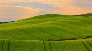 field, green, hills, traces, lines, pattern - wallpapers, picture