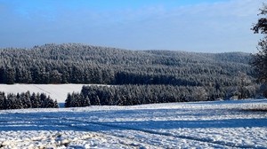 field, winter, snow, trees