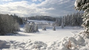 fält, vinter, snö, åt, täcka, klädsel, snödrivor, moln, himmel, skog, lös