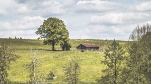 glade, the house, grass, trees, clouds, summer - wallpapers, picture