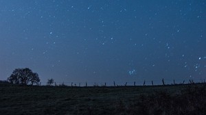 glade, starry sky, night, stars, dark - wallpapers, picture