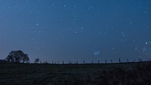 glade, starry sky, night, stars, dark