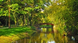 poland, trees, park, river