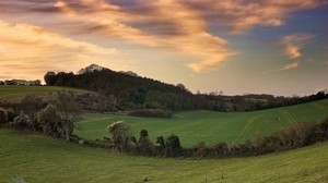 fields, trees, strip, greens - wallpapers, picture