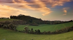 fields, trees, strip, greens