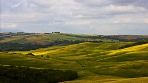 fields, italy, montalcino, tuscany, nature