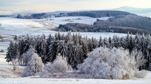 poppenhausen, germany, snow, forest - wallpapers, picture