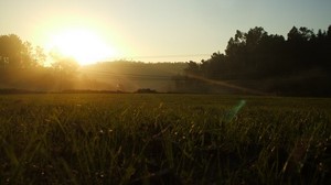 portugal, ljus, morgon, fält, gräs, ledningar
