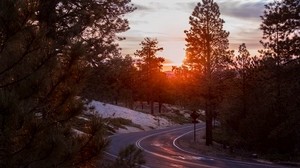 turn, road, sunset, trees, light