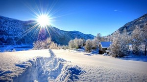 nature, forest, dawn, winter, mountains - wallpapers, picture