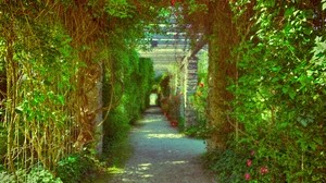passage, overgrown, flowers, plant - wallpapers, picture