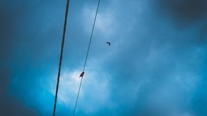 wires, clouds, birds, sky - wallpapers, picture