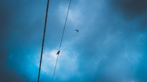 Drähte, Wolken, Vögel, Himmel