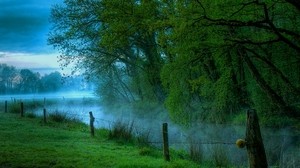 alambre, estacas, mañana, cercas, árboles, neblina, humedad, frescura