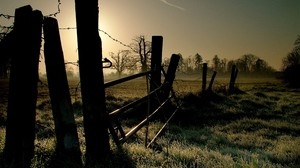 wire, fencing, light, grass, morning, frost