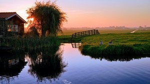 pond, house, sunset, ducks, village