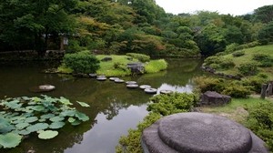 pond, path, stone, stumps, garden, circles, greens, cloudy