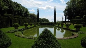 pond, yard, garden, decoration, bushes, green, cones