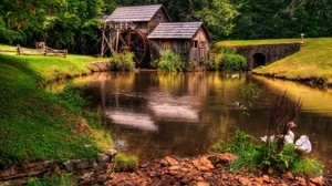 pond, geese, houses, mill, wheel, summer