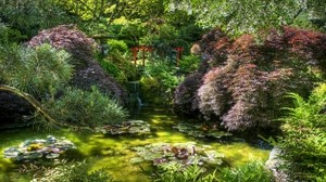 pond, bridge, vegetation, green, water lilies, shadow