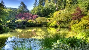 pond, garden, vegetation, green, light