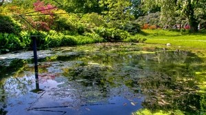 pond, column, rods, fountain, leaves, clear