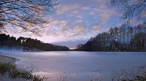 pond, grass, shackled, ice, winter, frost, freshness, silence, evening
